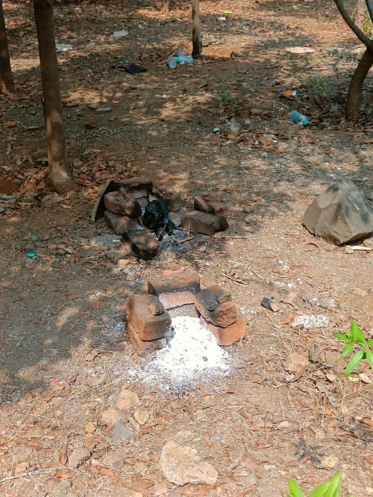 Aajchi Navi Mumbai | उद्यानात पार्ट्यांना ‘बहर'!