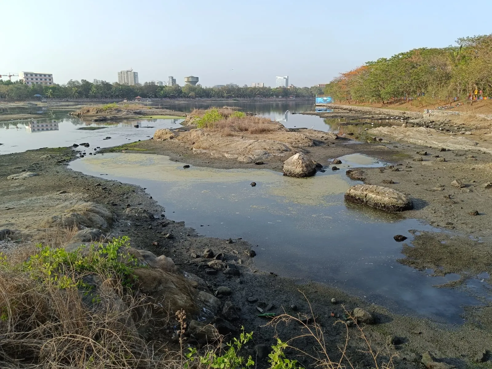 Aajchi Navi Mumbai | जॉगर्स पार्कवर दुर्गंधीचा भपकारा