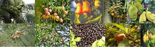 कोकणात ‘हॉर्टसॅप’ प्रकल्प सुरु