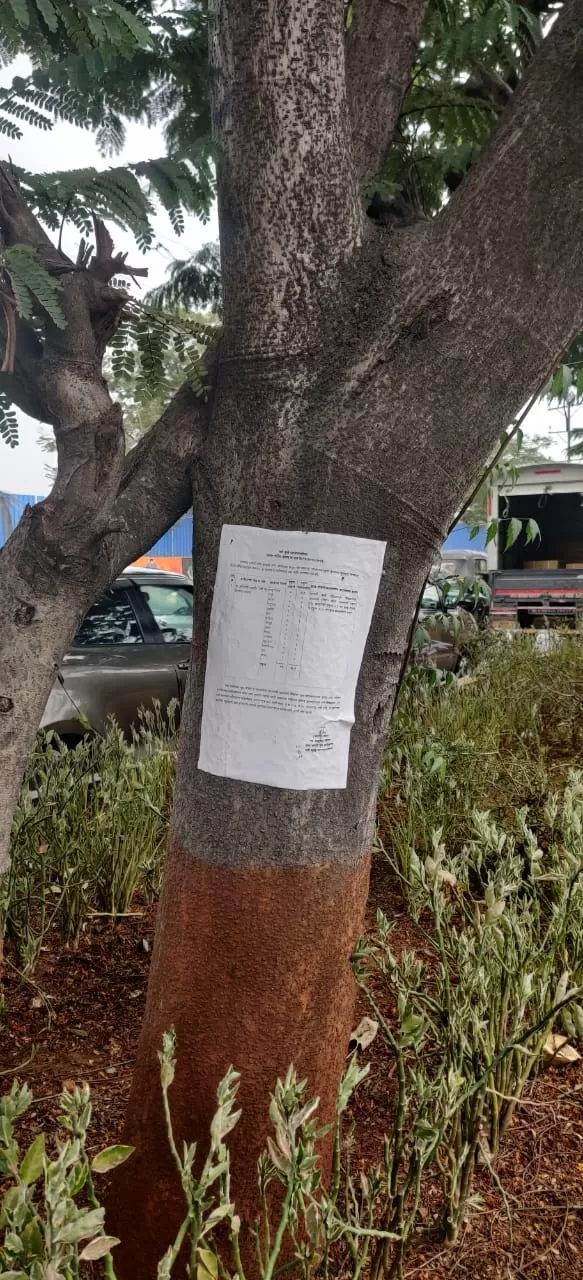 Aajchi Navi Mumbai | वृक्षतोडीचा प्रस्ताव अपूर्ण