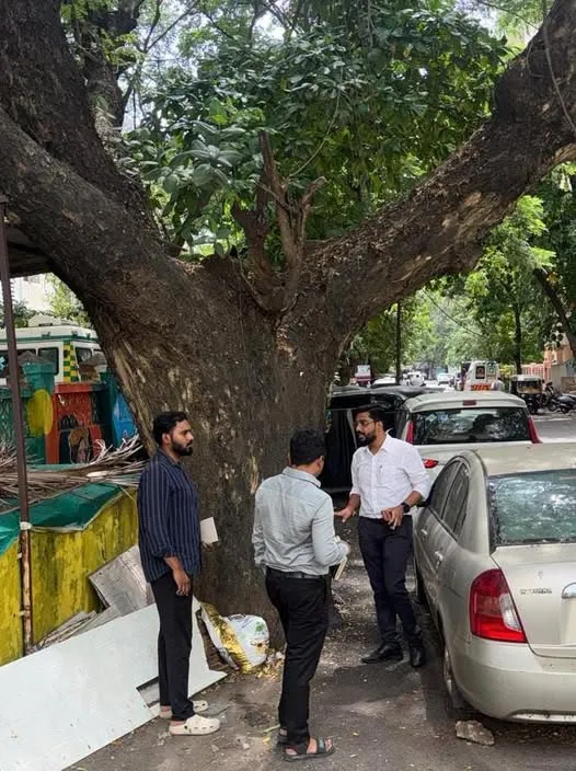 वृक्षांच्या बुंध्याभोवतीचे काँक्रिट हटवा